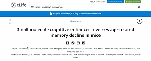 研究发现，一种实验药物可以逆转与年龄有关的小鼠记忆力的下降。