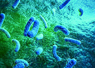 【Nature】无惧细菌耐药性的新型抗生素诞生了！