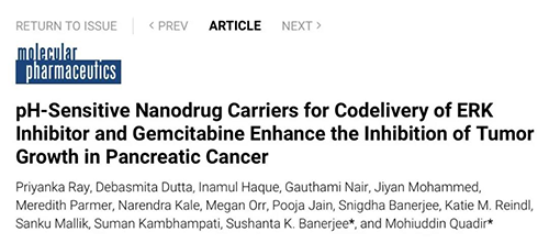抒写胰腺癌治疗新篇章: pH值调控纳米药物输送技术可高效杀死癌细胞