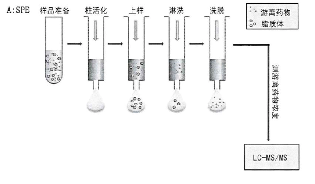 SPE 的大致流程.webp