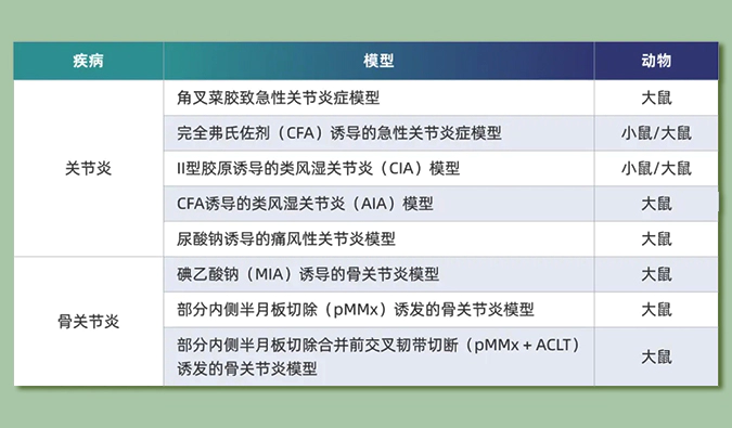 世界关节炎日：突破上亿人的共同难关，持续探索关节炎新药