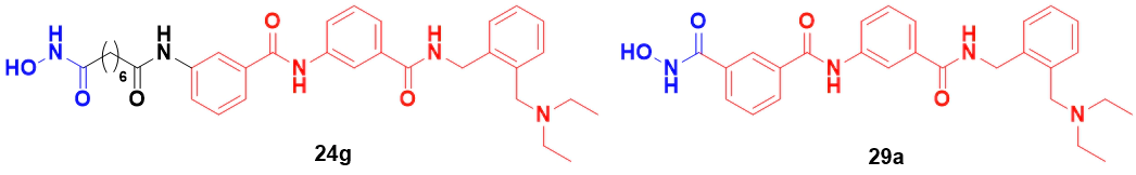 化合物24g和29a的结构式.webp