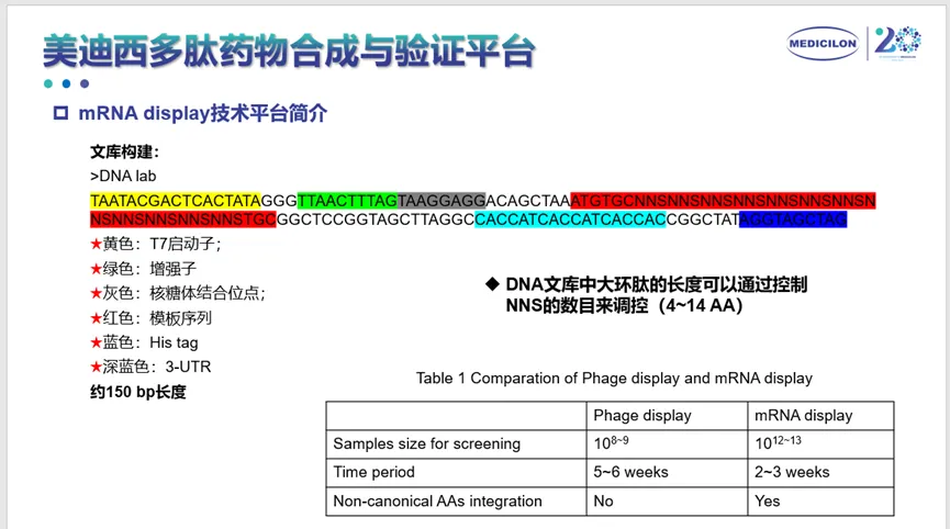 美迪西多肽药物合成与验证平台.webp