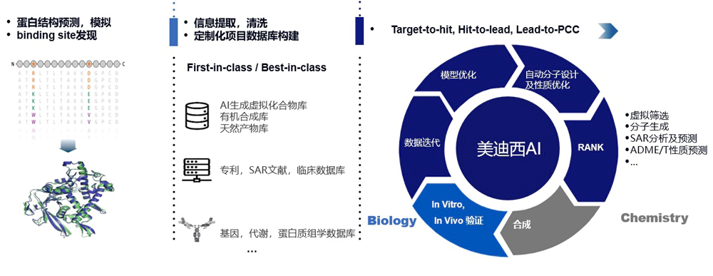 美迪西AI药物发现平台满足科研多样化的研发需求.webp