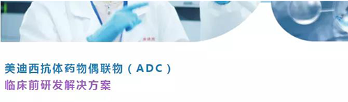 美迪西抗体药物偶联物（ADC）临床前研发解决方案.png