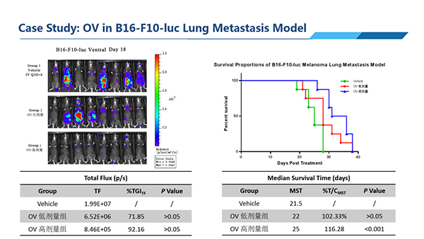 Case-Study--OV-in-B16-F10-lic-Lung-Metastasis-Model.jpg