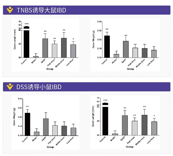 TNBS诱导的大鼠IBD和DSS诱导的小鼠IBD.png