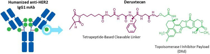 Trastuzumab-deruxtecan-(DS-8201)-结构.jpg