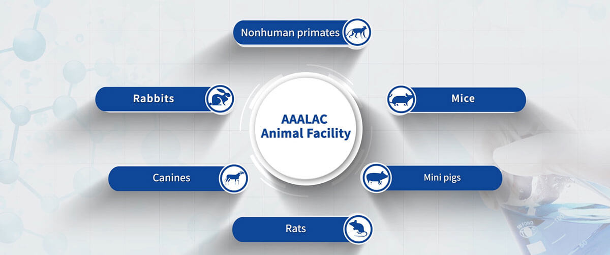 Medicilon's-AAALAC-Animal-Facility.jpg