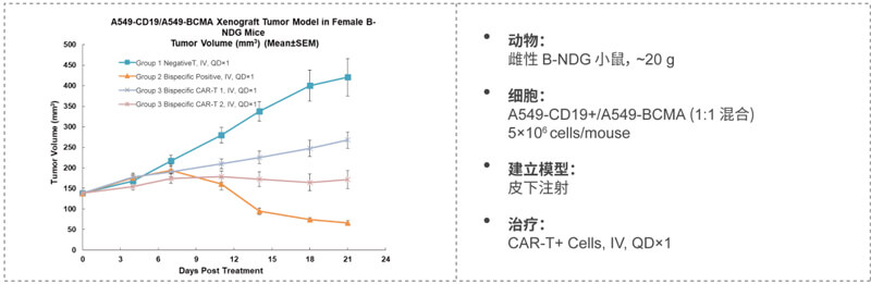 CAR-T细胞杀伤实验显示CAR-T细胞依赖性杀伤较Mock-T细胞增加.jpg