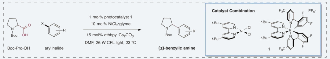 1-Proposed-mechanistic-pathway-of-nickel-catalyzed-photoredox--decarboxylative-arylation.jpg