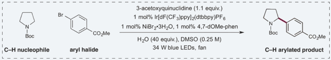2-Photoredox,-HAT,-and-nickel-catalyzed-cross-coupling--proposed-mechanistic-pathway-and-catalyst-combination.jpg