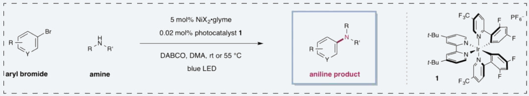5-Metallaphotoredox-catalyzed-amination-amine-and-arene-scope.jpg