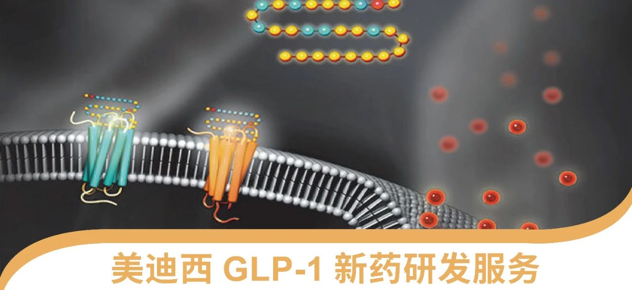美迪西一站式 丨 “GLP-1”新药研发服务能力介绍