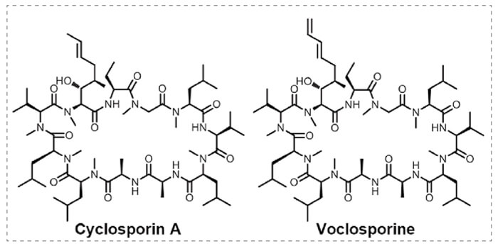 4-Cyclophilin-A-和Voclosporine分子胶的结构.jpg