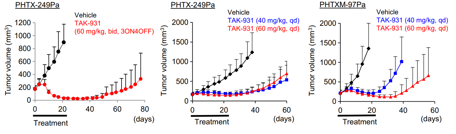 TAK-931是一种高效的CDC7抑制剂，通过抑制CDC7来抑制DNA复制，具有抗肿瘤功效，体内药效研究通过美迪西进行