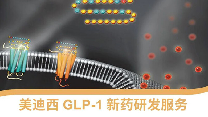 glp-1 新药研发技术服务平台.jpg