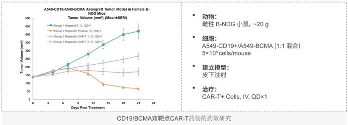 CD19-BCMA双靶点CAR-T案例分享.jpg