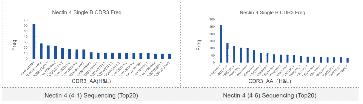 Nectin-4 (4-1) Sequencing (Top20) and Nectin-4 (4-6) Sequencing (Top20).webp