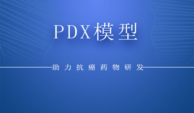PDX模型.jpg