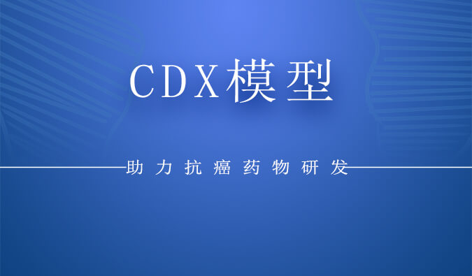 CDX模型.jpg