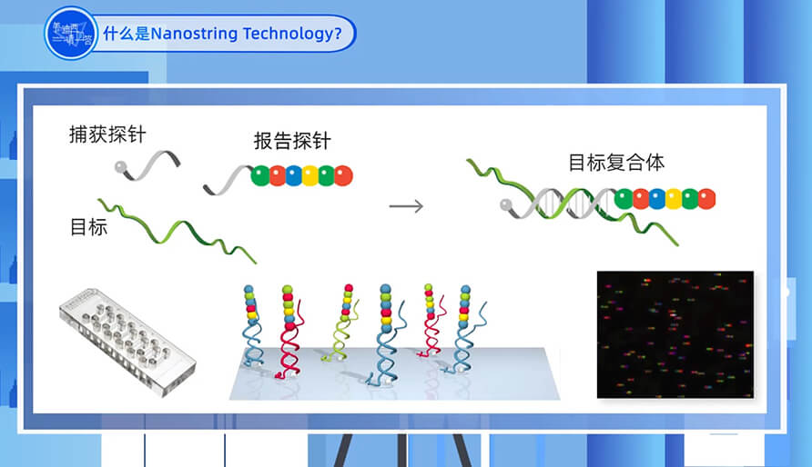 什么是Nanostring 技术？