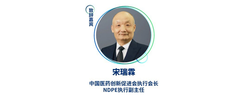 宋瑞霖--中国医药创新促进会执行会长、NDPE执行副主任.jpg