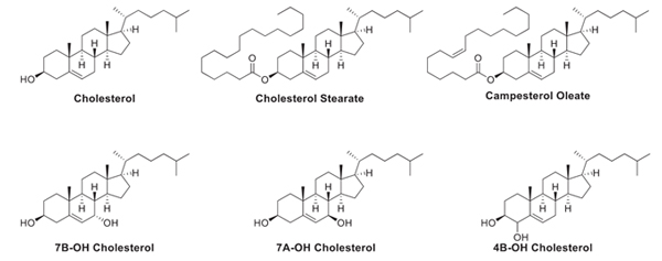 Cholesterol-series.jpg