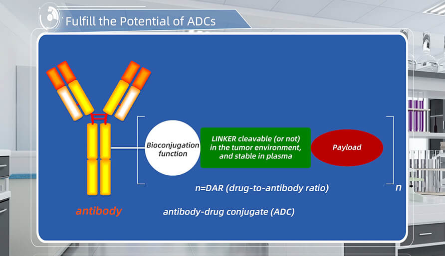 发挥抗体偶联药物（ADCs）的全部潜力