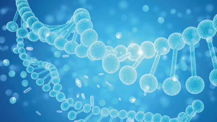 美迪西细胞&基因治疗药物研发服务平台