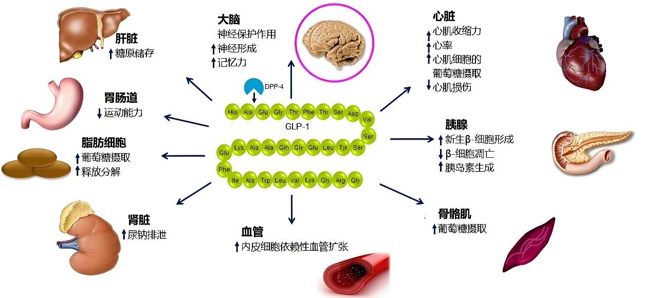 微信图片_20250319094904.jpg