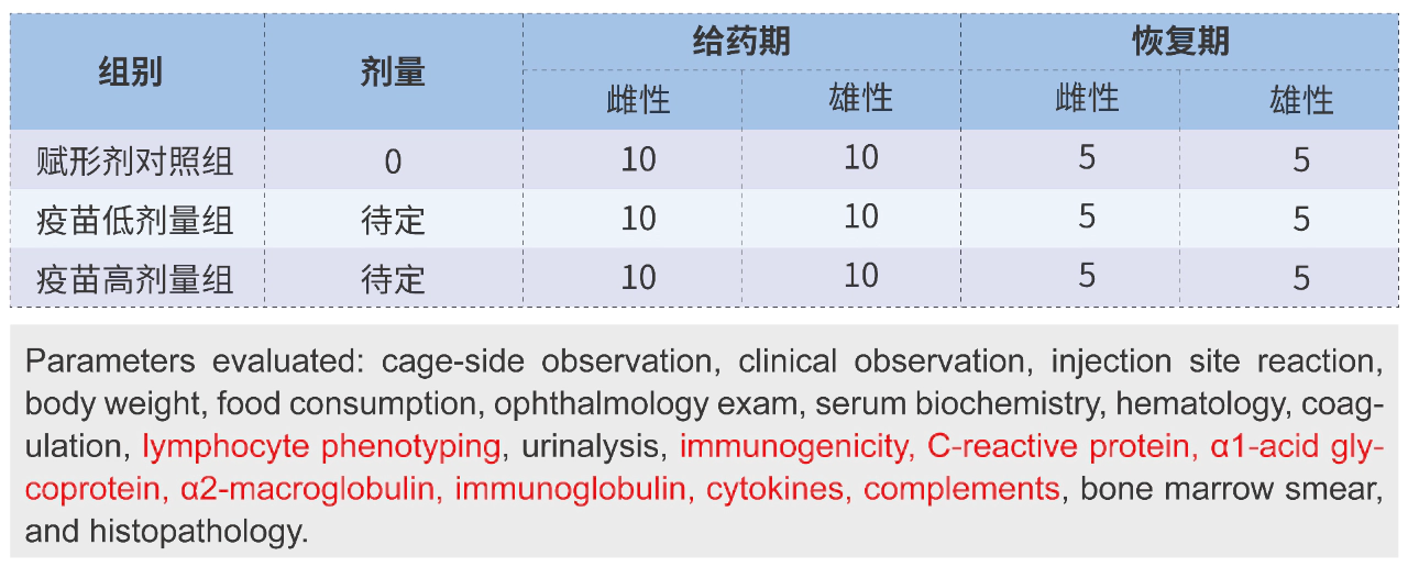 mRNA抗呼吸道合胞病毒疫苗临床前药代及安全评价纲要 (IND-Enabling).webp