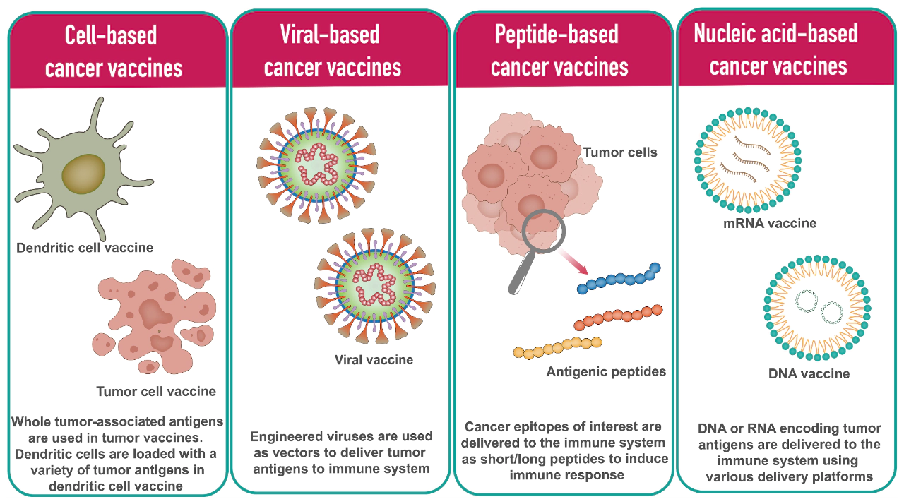 Different types of cancer vaccine platforms.webp