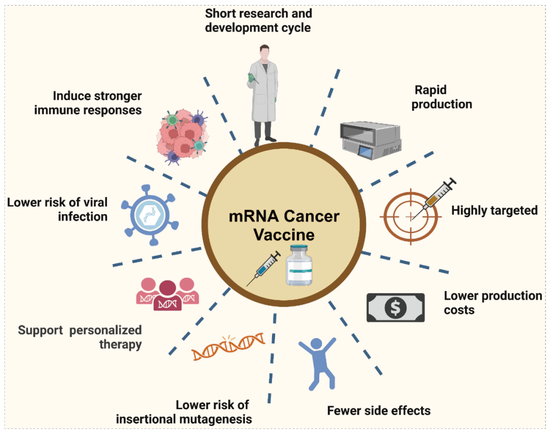 The advantages of mRNA vaccines in the context of cancer therapy.webp