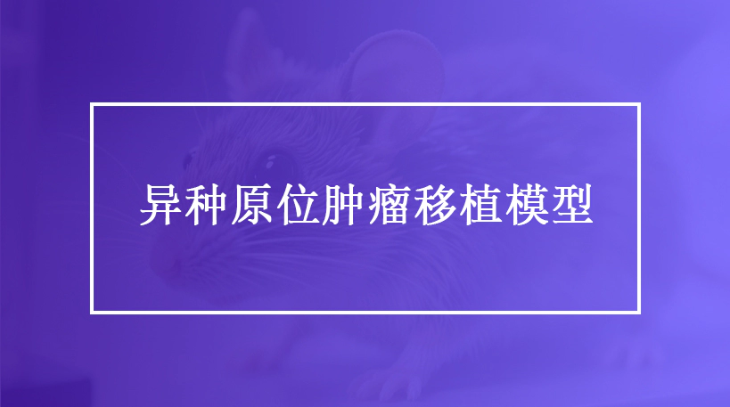 药物研发中的小鼠肿瘤模型（视频合集）