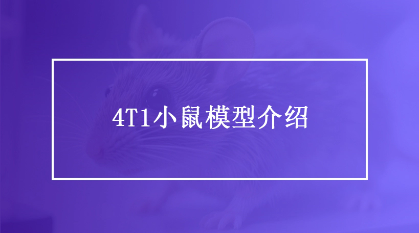 全方位了解4T1小鼠模型