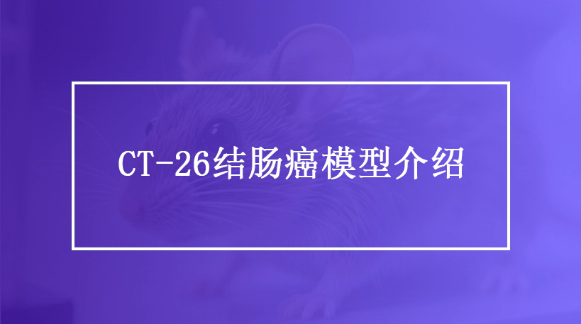 全方位了解CT-26结肠癌模型
