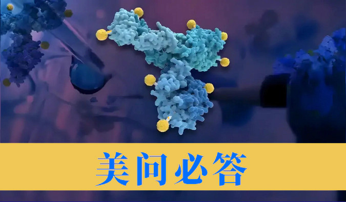 ADC药物的药代动力学研究关注点有哪些？