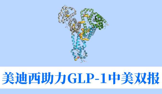 美迪西助力合作伙伴韦恩生物GLP-1小分子激动剂WBD156胶囊中美IND临床试验双报双批