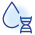 局部毒性研究.webp