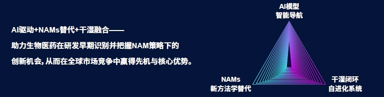 美迪西 NAMs 技术服务平台.webp