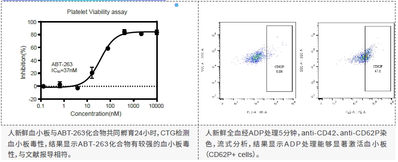血小板毒性 - 血小板激活实验.webp