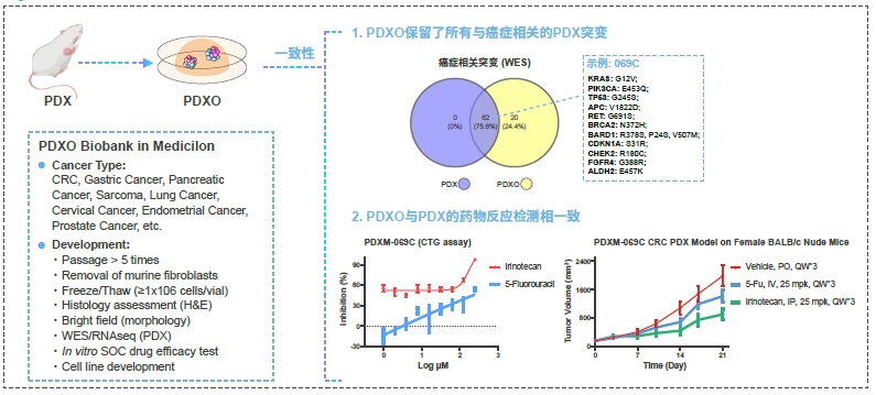 美迪西PDXO库.webp