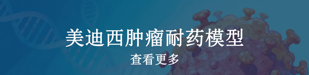 美迪西肿瘤耐药模型.webp