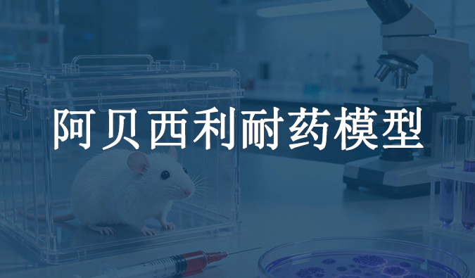 阿贝西利耐药模型