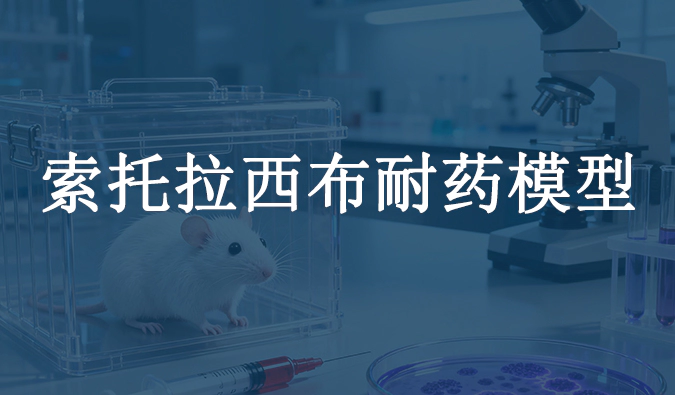 索托拉西布耐药模型