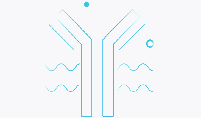 美迪西AOC药物研发平台：驱动药物研发，赋能生物技术创新