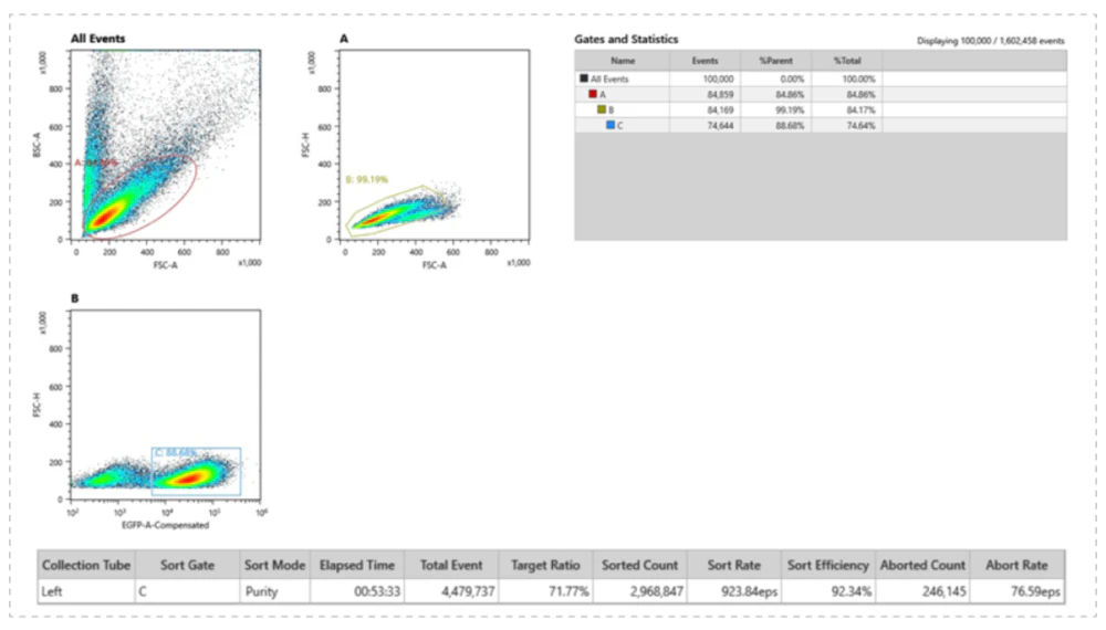 美迪西案例 细胞功能检测NK细胞GFP阳性分选.webp