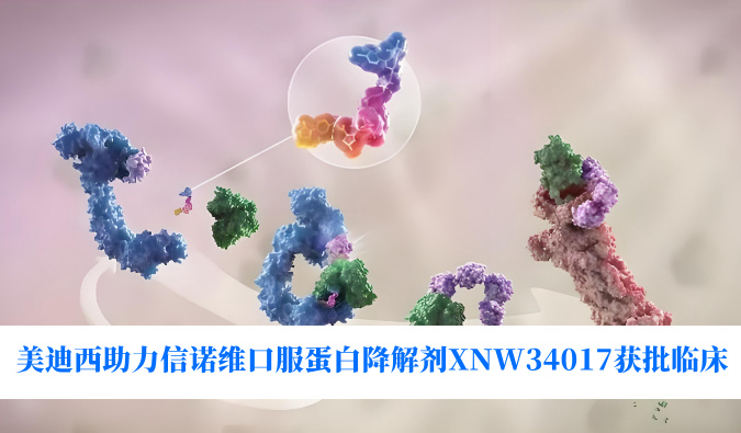 美迪西助力合作伙伴信诺维口服蛋白降解剂XNW34017获批临床