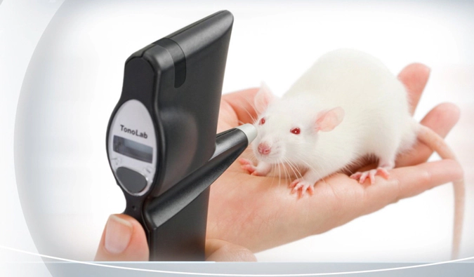 非肿瘤药效模型.webp 非肿瘤药效模型.webp